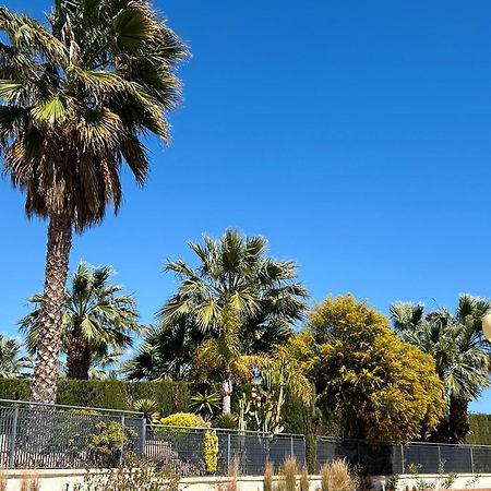 Apartamento Hermosa Glea Campoamor Eksteriør billede