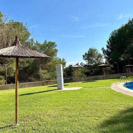 Apartamento Hermosa Glea Campoamor Eksteriør billede