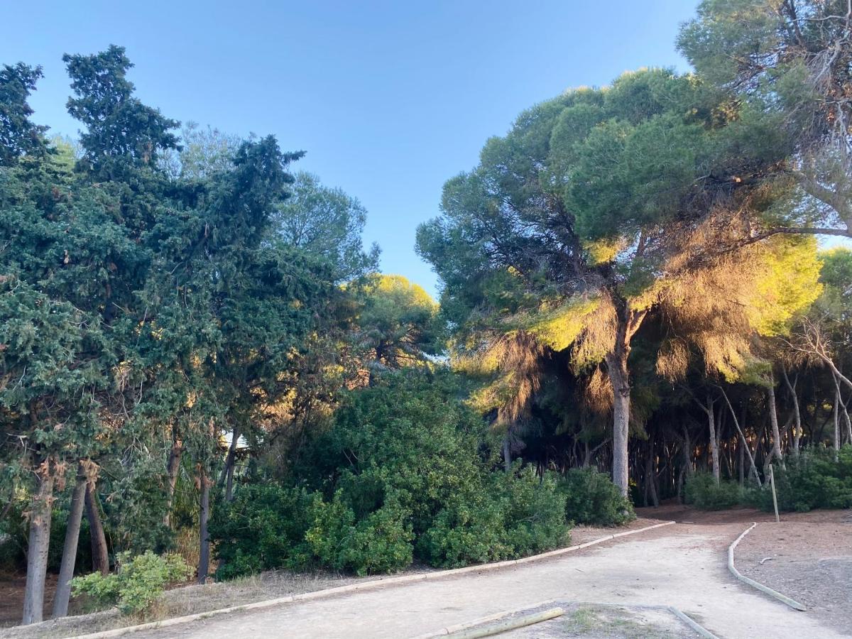 Apartamento Hermosa Glea Campoamor Eksteriør billede