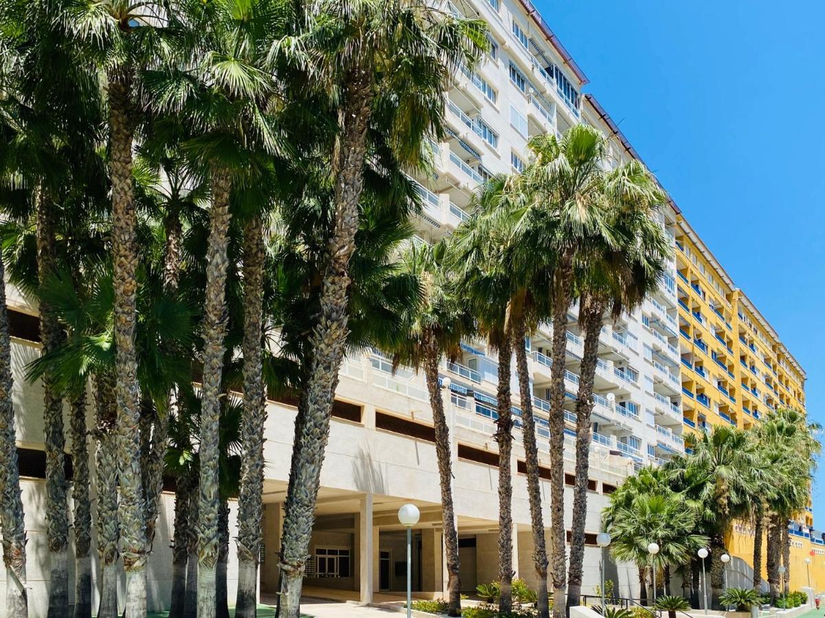 Apartamento Hermosa Glea Campoamor Eksteriør billede