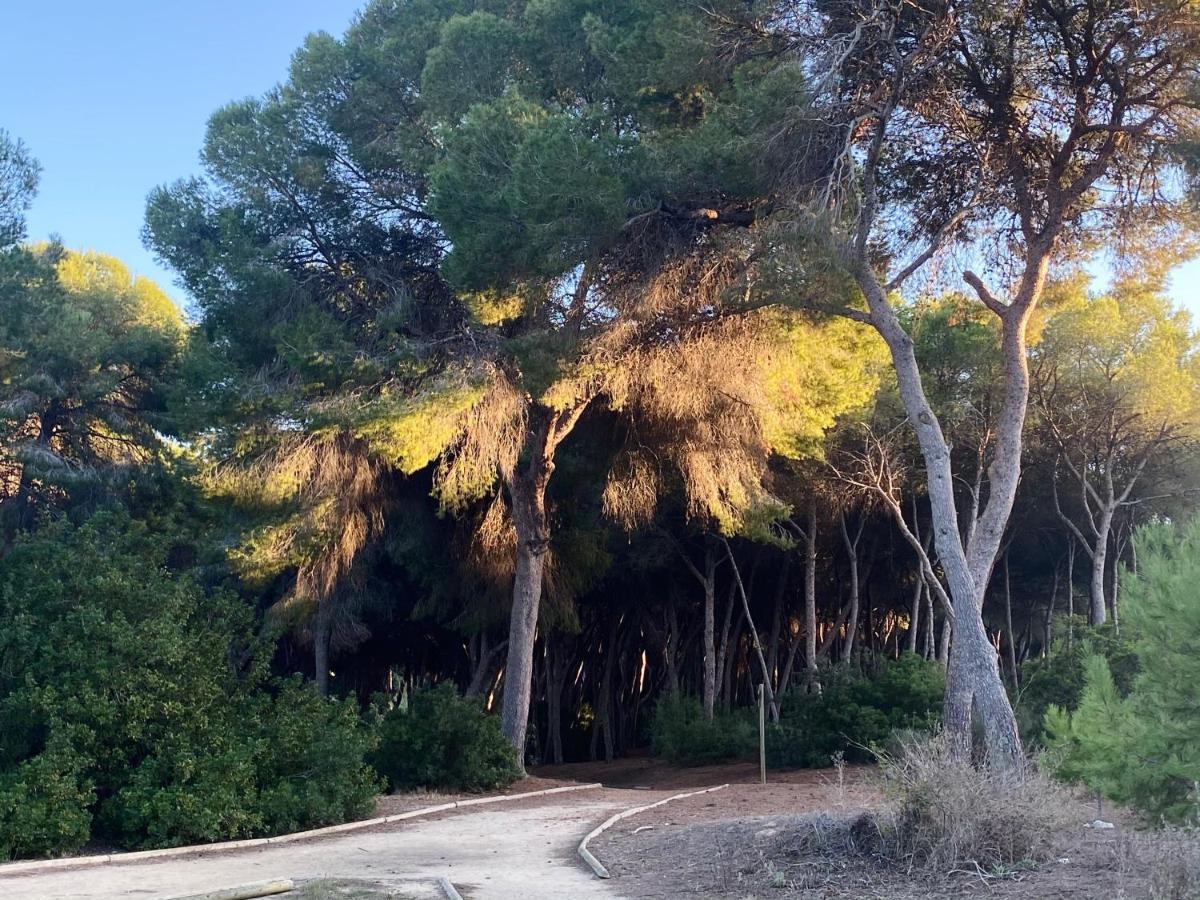 Apartamento Hermosa Glea Campoamor Eksteriør billede