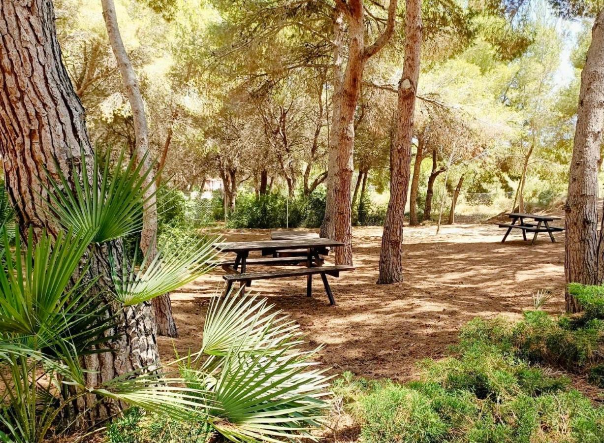 Apartamento Hermosa Glea Campoamor Eksteriør billede