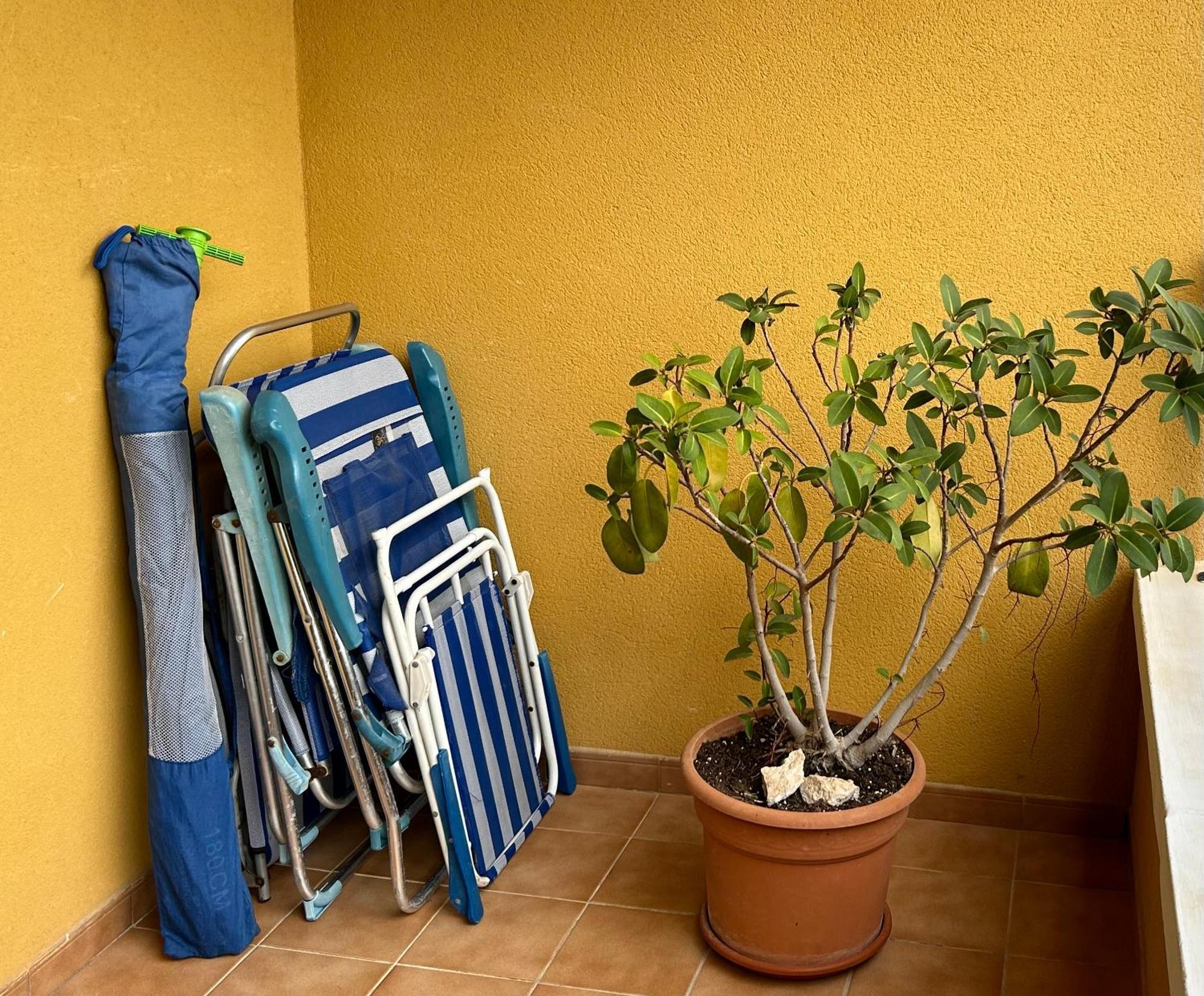 Apartamento Hermosa Glea Campoamor Eksteriør billede