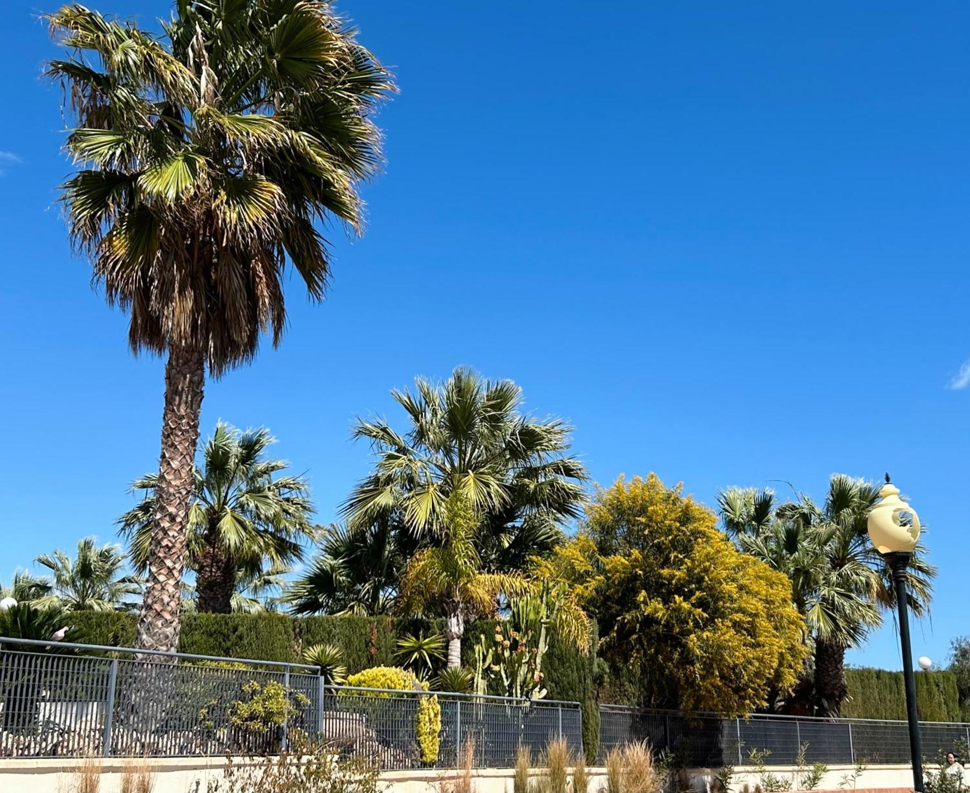 Apartamento Hermosa Glea Campoamor Eksteriør billede